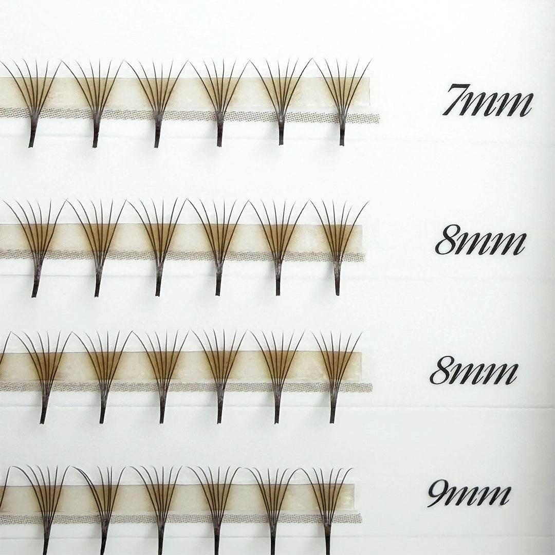 BROWN Narrow Premade/Promade Fans 6D 0.07 600 fans - Mixed Lengths