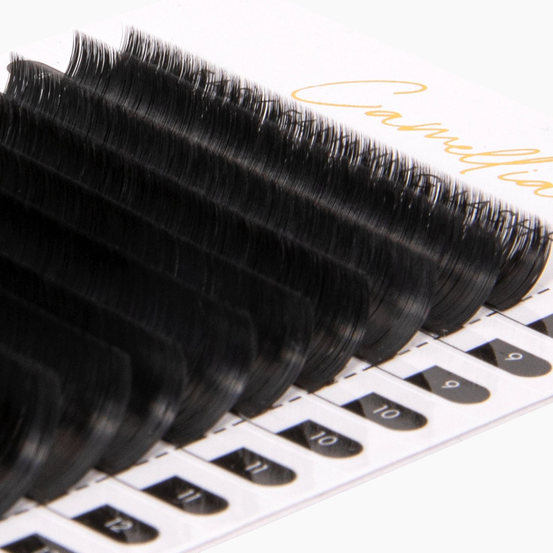 London Lash Camellia 0.05 lashes close up of lash strips showing the colour and curl
