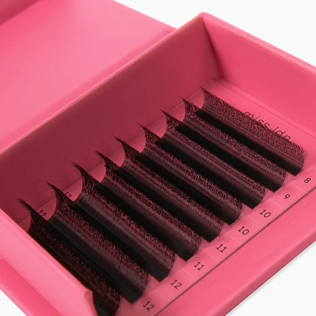 London Lash CandYY Lashes full tray of 4D W premade volume fans in 0.07 thickness