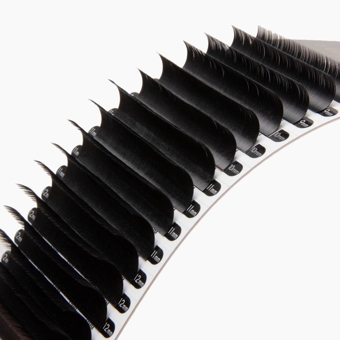 London Lash Chelsea 0.10 strip of lashes showing the curls on a white background