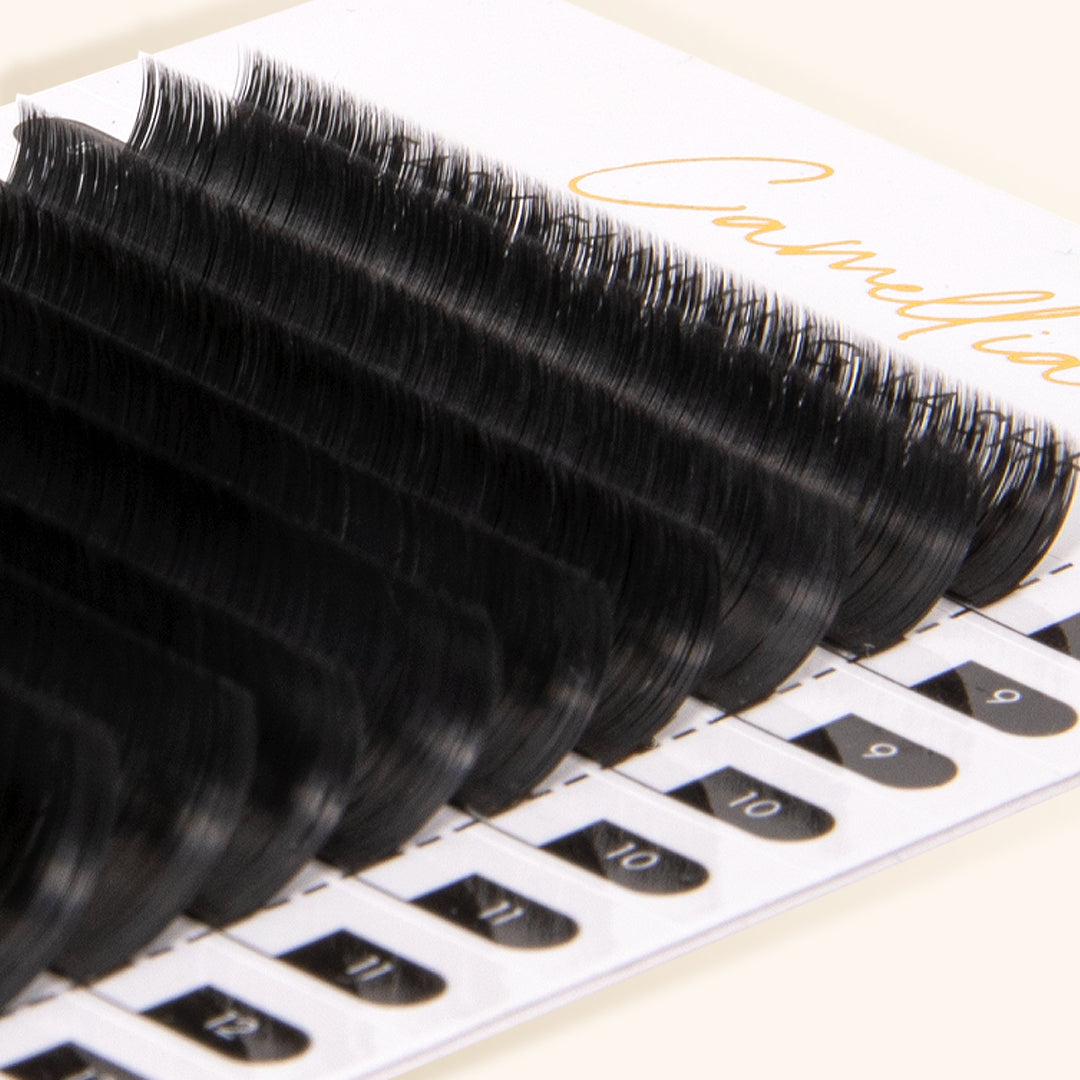 Lash tray camellia easy fanning volumen lashes 0.03