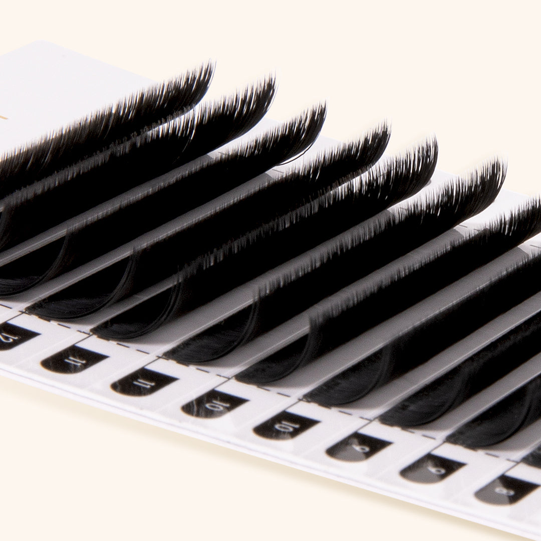 Lash tray camellia easy fanning volumen lashes 0.03