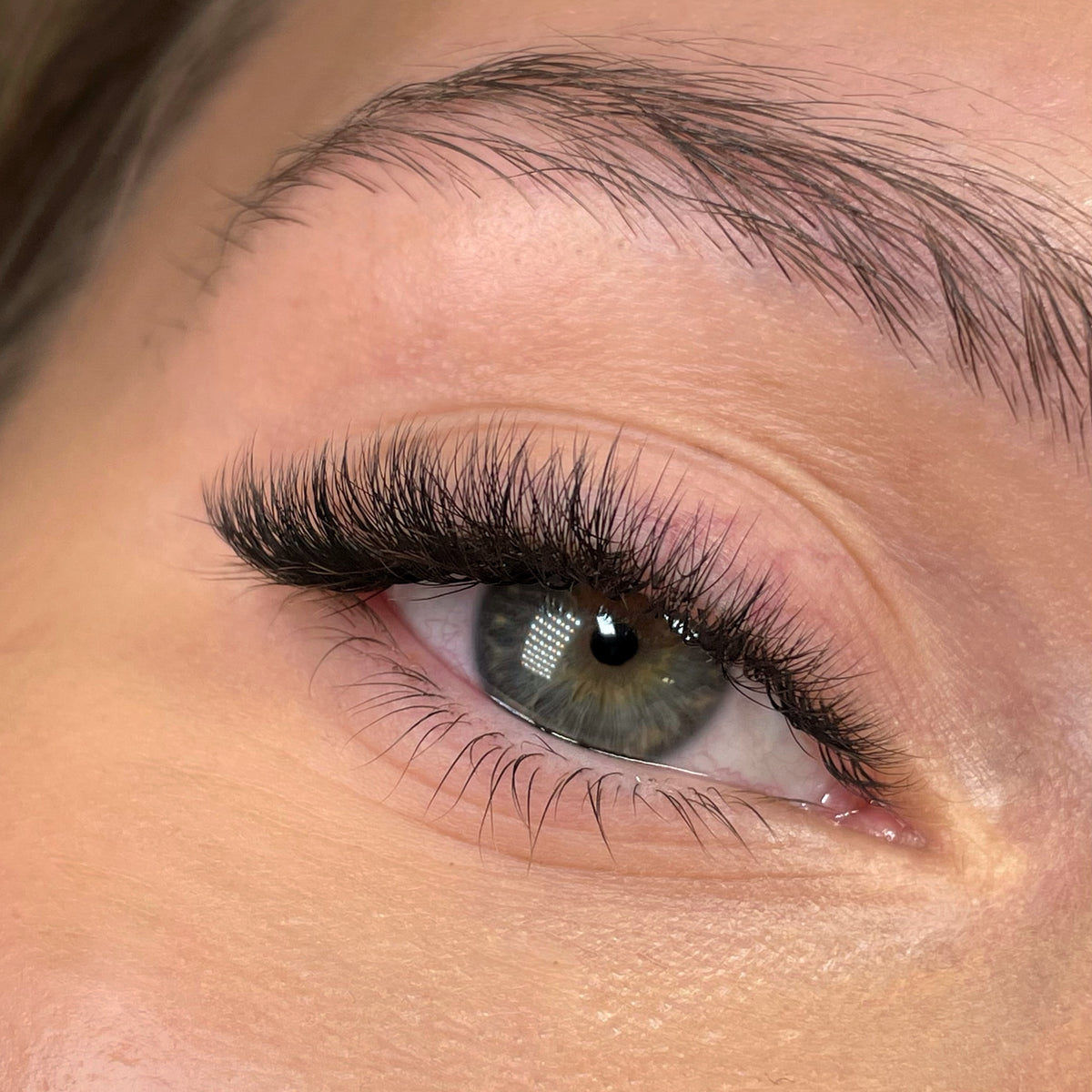 SpeedYY Lashes - 4DW 0.07