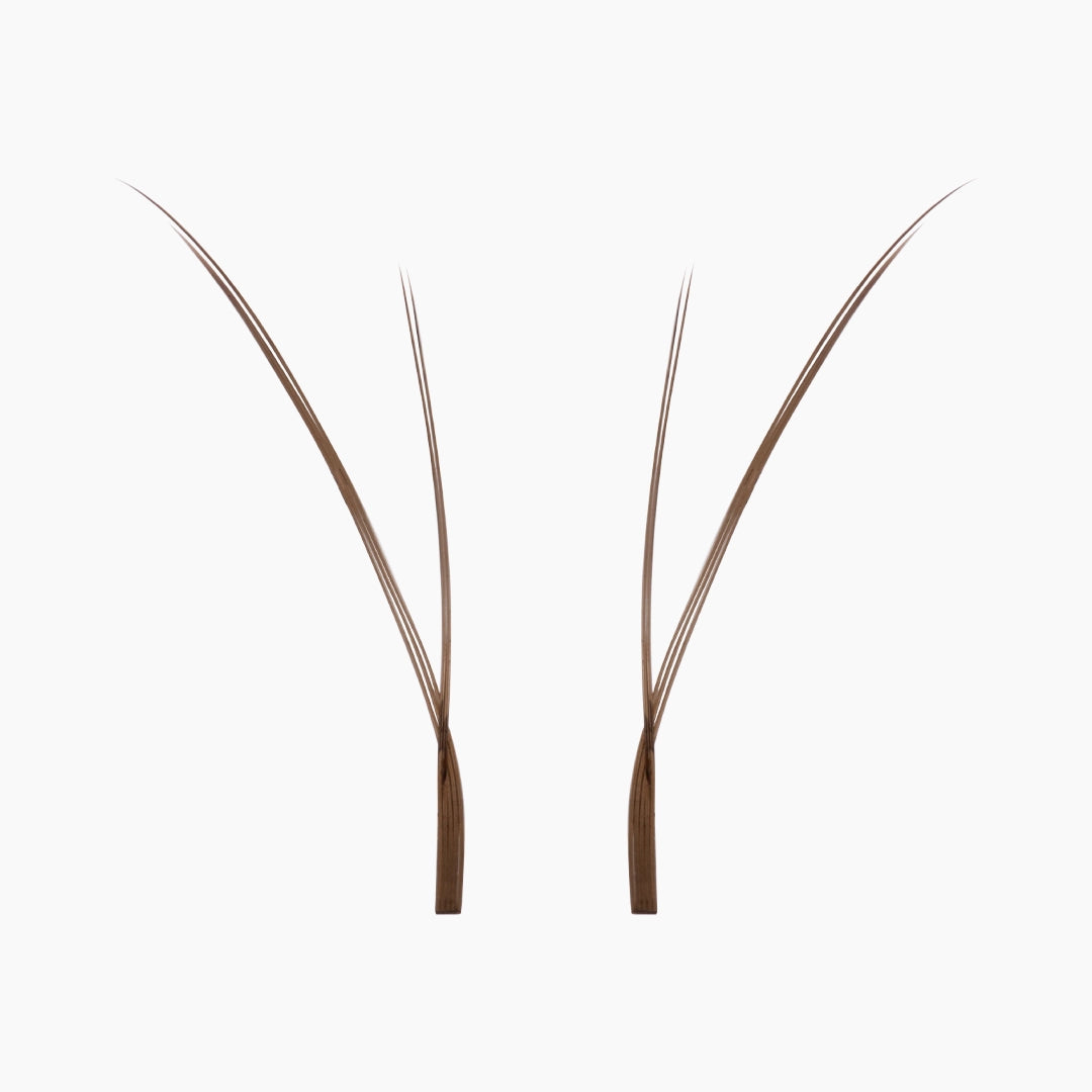 Two isolated brown Kitten Lash extension fans on a plain white background showing their slim base and flared tips.
