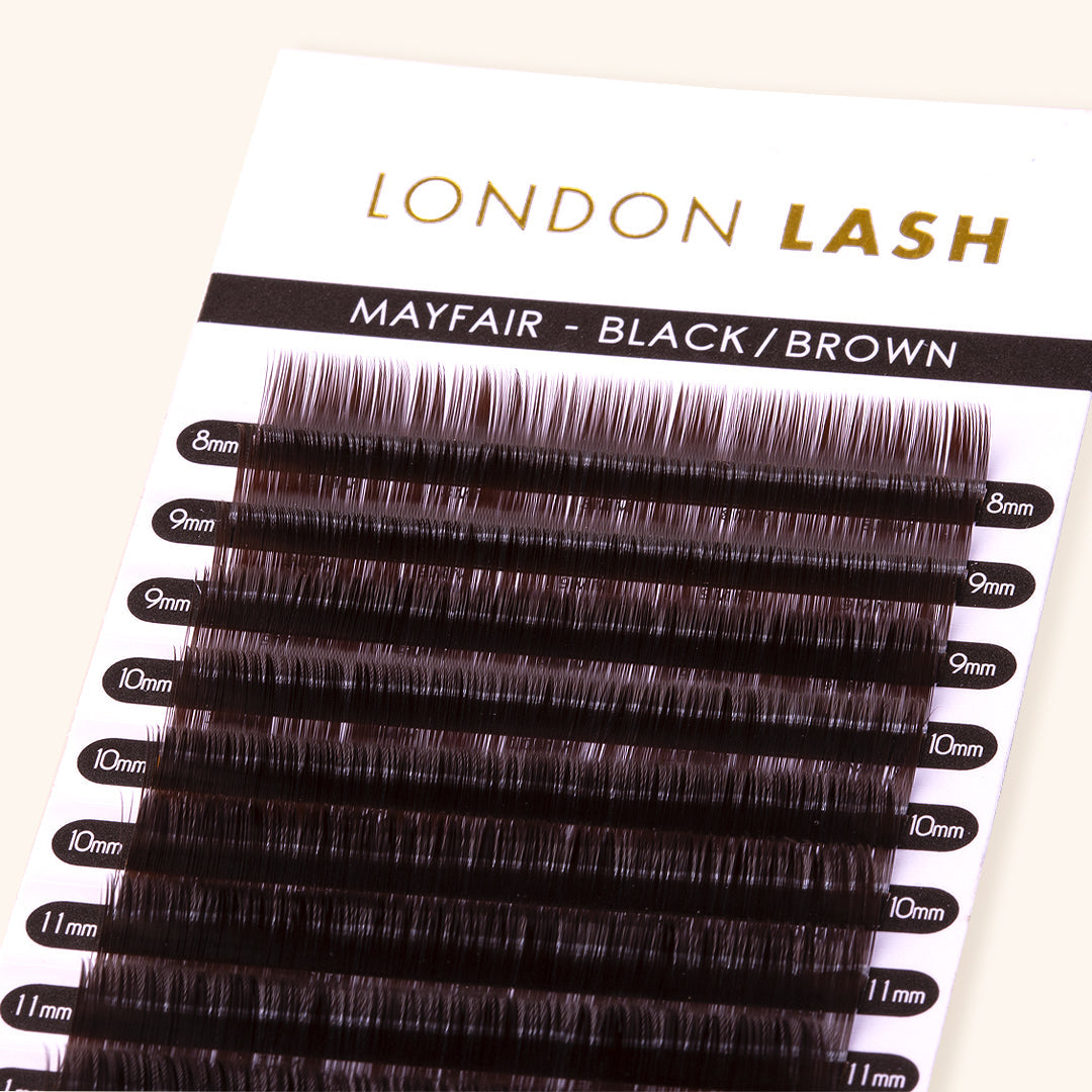 Tray of Black Brown Faux Mink Mayfair Lashes 0.07, Professional Eyelash Extensions at London Lash Australia