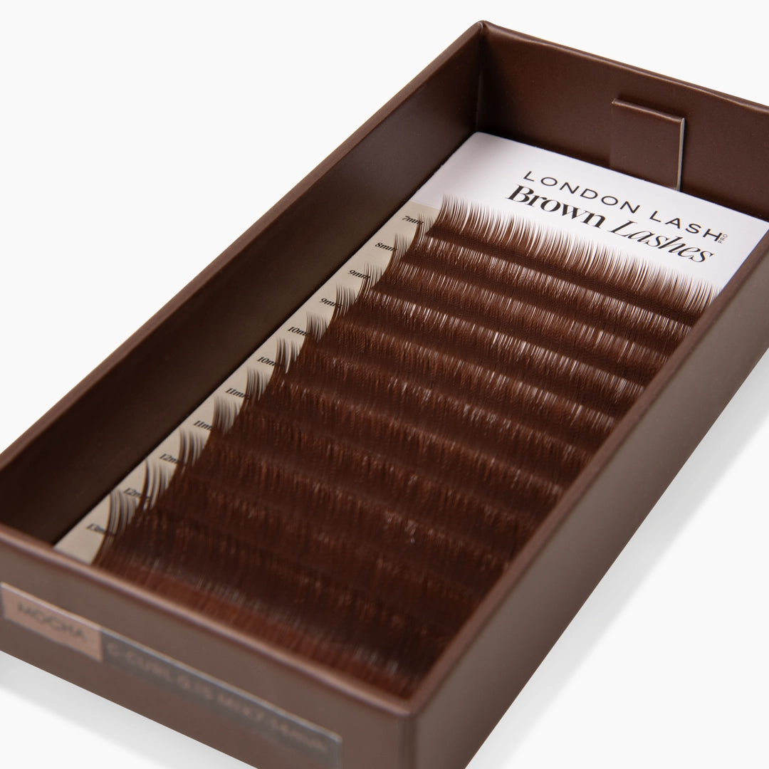 lash tray on white background with coffee shade brown eyelashes inside