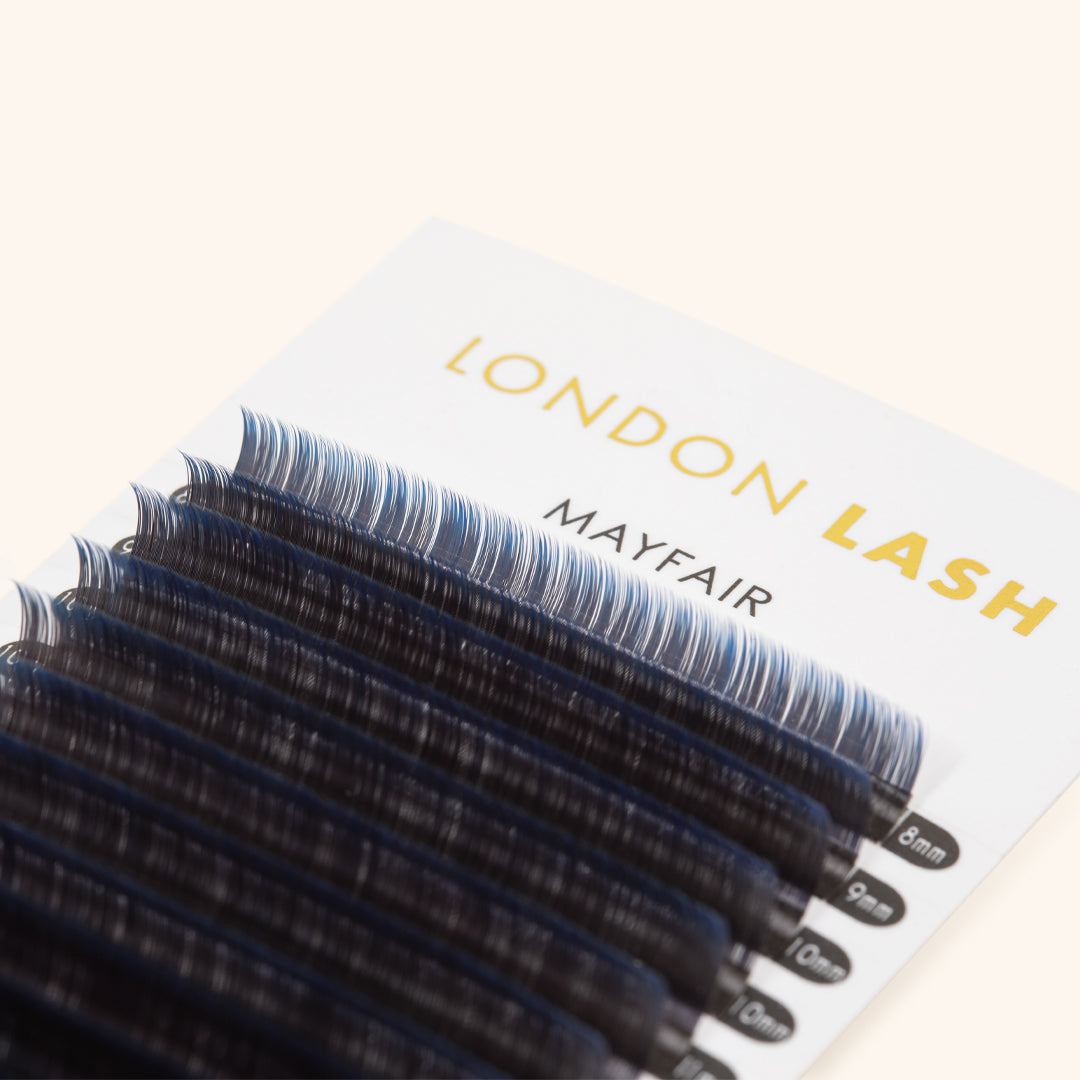 Tray of Blue Two-Tone Ombre Lashes 0.07, Professional Eyelash Extensions at London Lash Australia