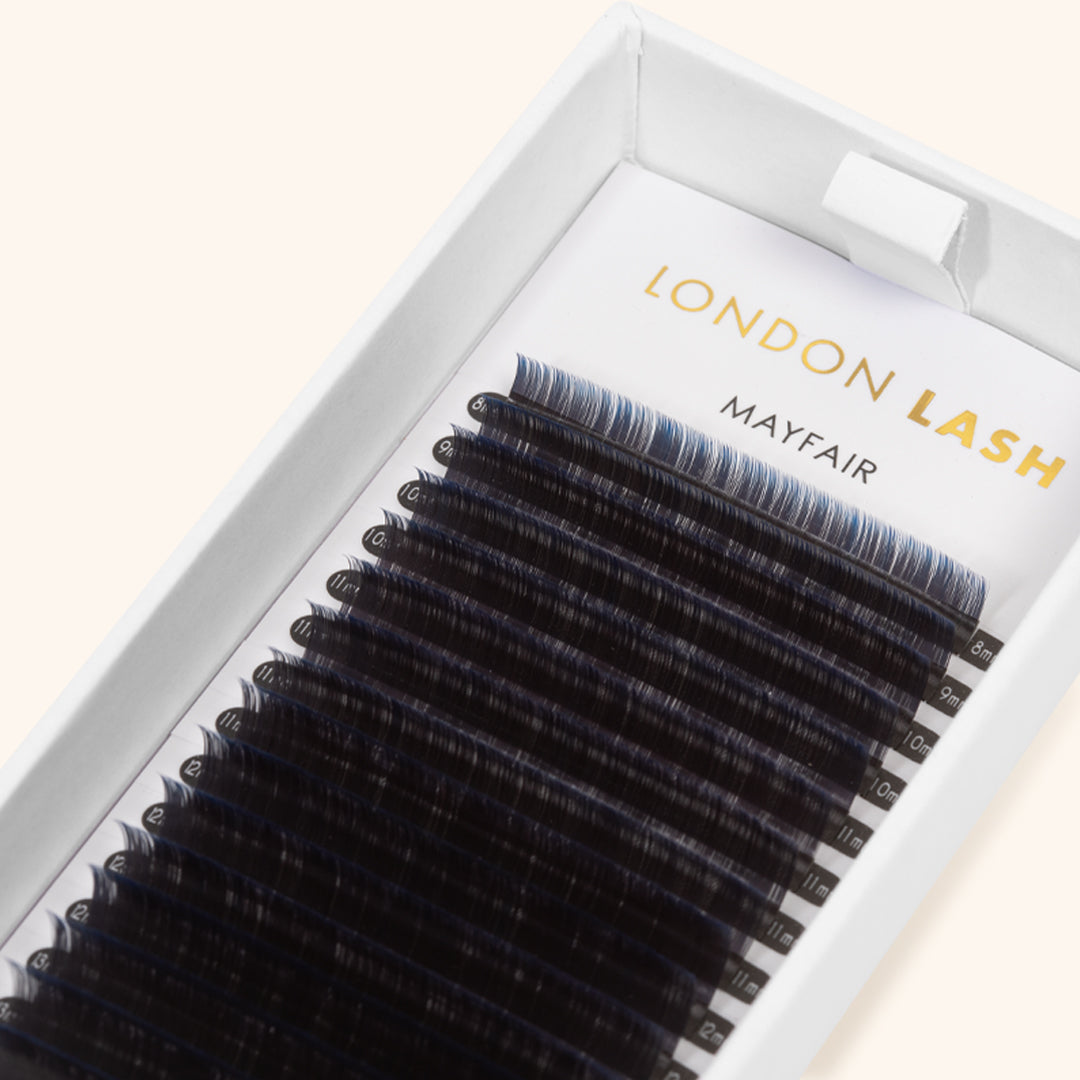 Tray of Blue Two-Tone Ombre Lashes 0.07, Professional Eyelash Extensions at London Lash Australia