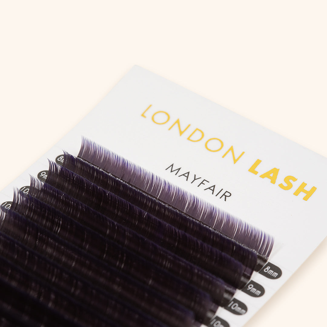 box of Violet Two-Tone Ombre Lashes 0.07, Professional Eyelash Extensions at London Lash Australia