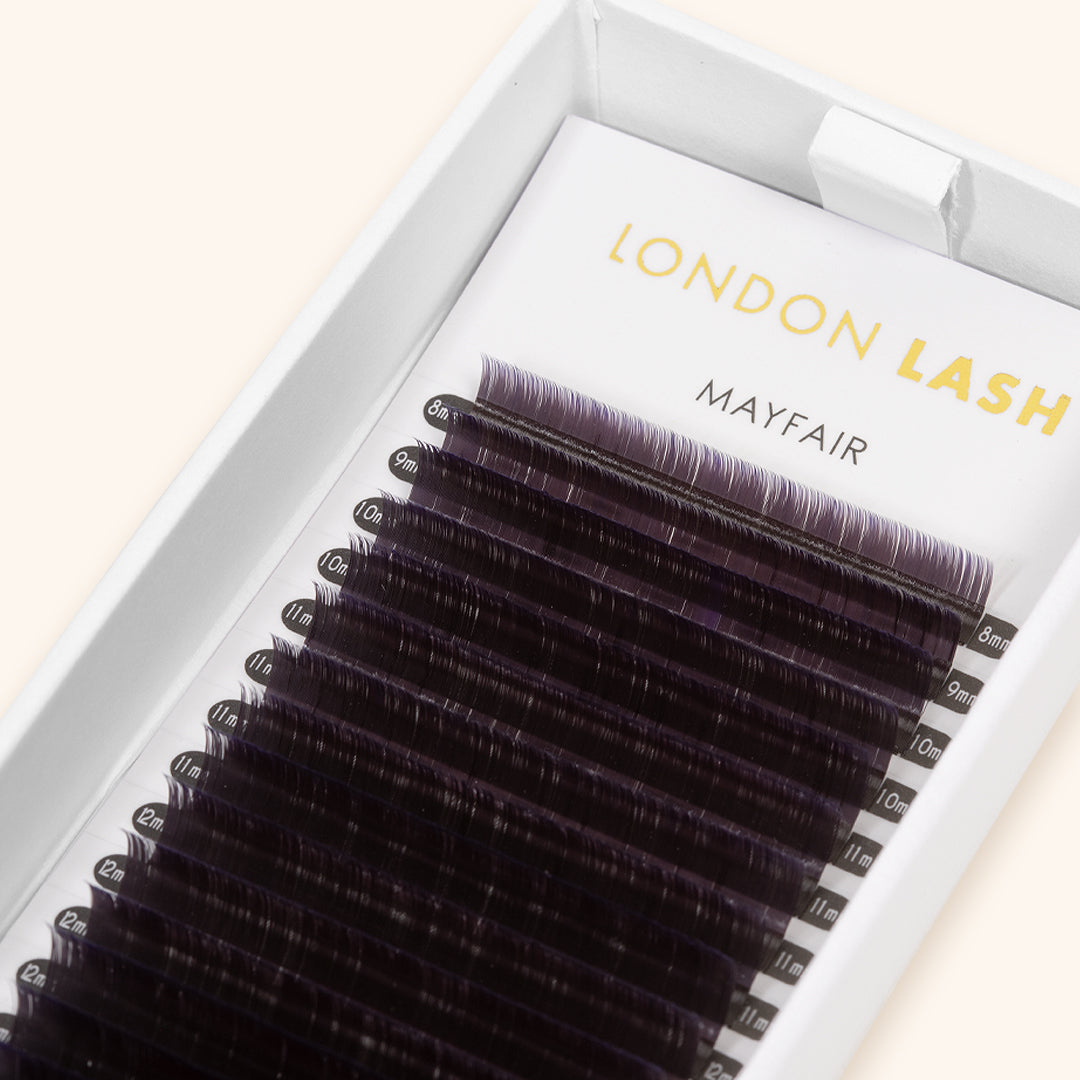 box of Violet Two-Tone Ombre Lashes 0.07, Professional Eyelash Extensions at London Lash Australia