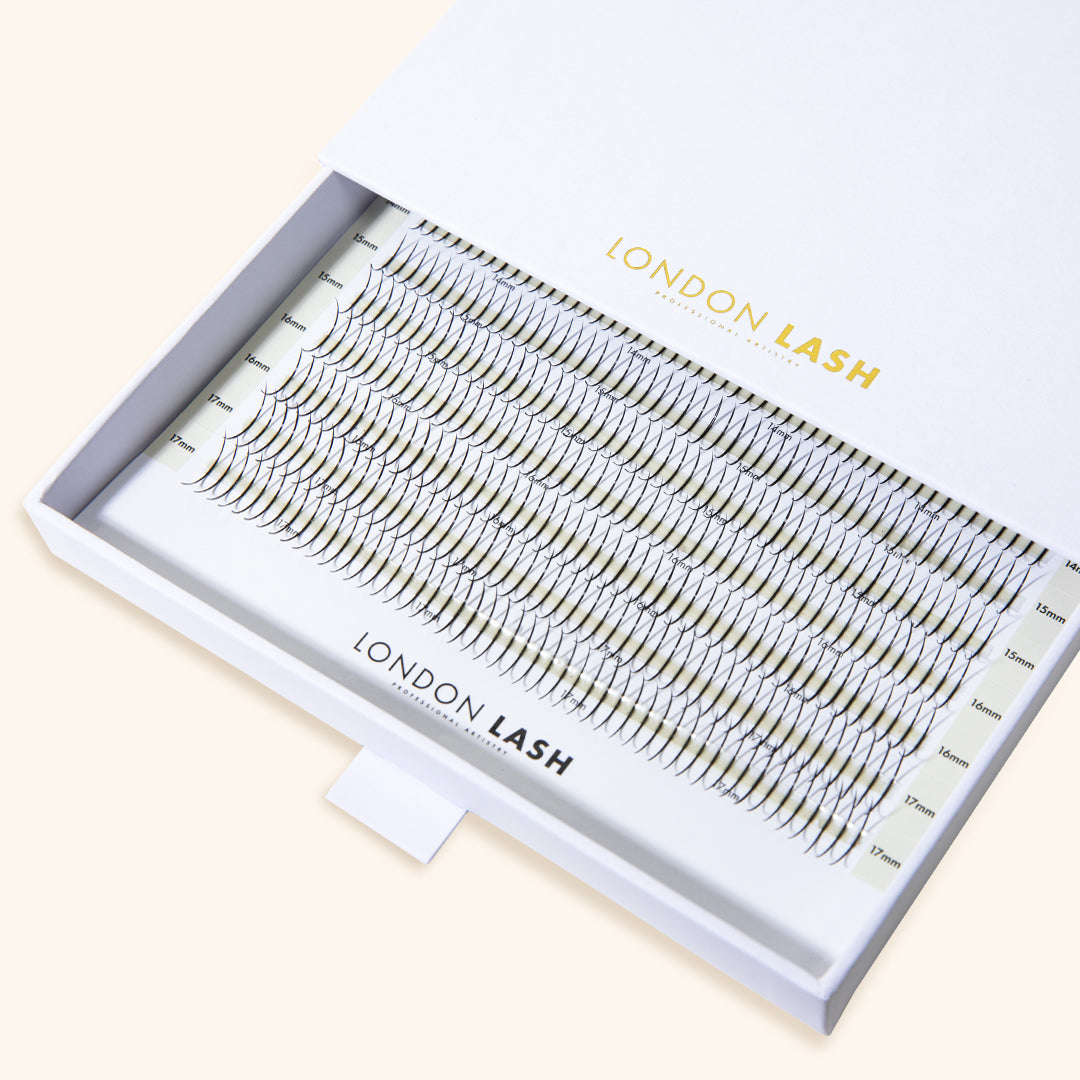 Tray of Premade Spikes Mayfair 5D 0.06 1000pcs - MIX TRAY, Professional Eyelashes, London Lash Australia