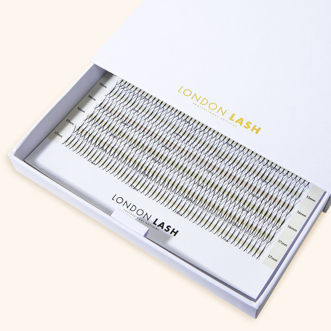 Tray of Premade Spikes Mayfair 5D 0.06 1000pcs - MIX TRAY, Professional Eyelashes, London Lash Australia