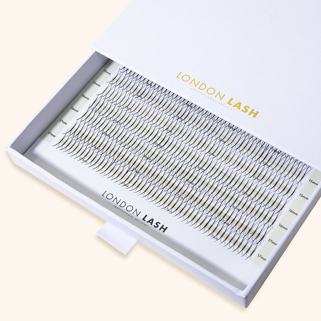 Tray of Premade Spikes Mayfair 5D 0.06 1000pcs - MIX TRAY, Professional Eyelashes, London Lash Australia