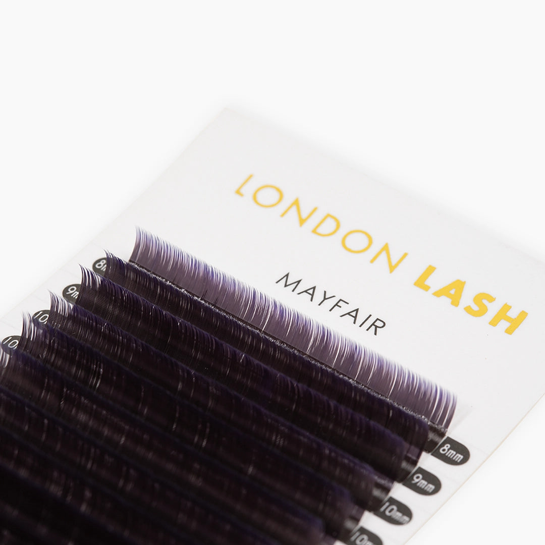 London Lash Violet Two-Tone Ombre Lashes 0.07 tray showing black to violet tip lash strips on white background
