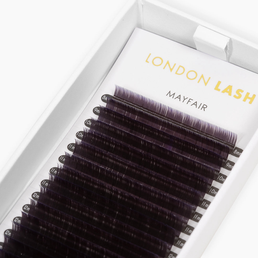 Open London Lash Violet Ombre lash tray displaying mixed length strips with black base and violet tips
