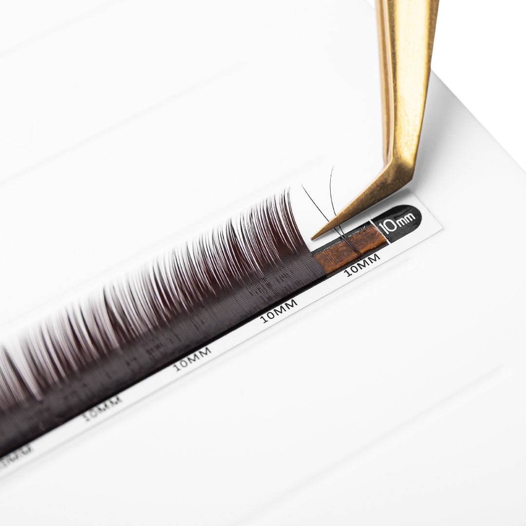 Black Brown Faux Mink Mayfair Lashes 0.10 | Professional Eyelash Extensions at London Lash Pro