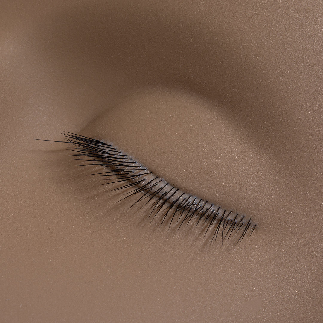 Eyebrow and eyelash on mannequin head for lash extensions training 