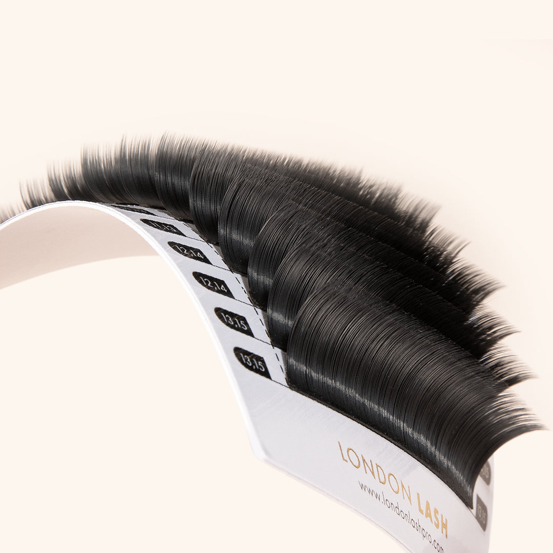 TRAY OF CAMELLIA - TEXTURED EASY FANNING MEGA VOLUME LASHES 0.03, LONDON LASH AUSTRALIA