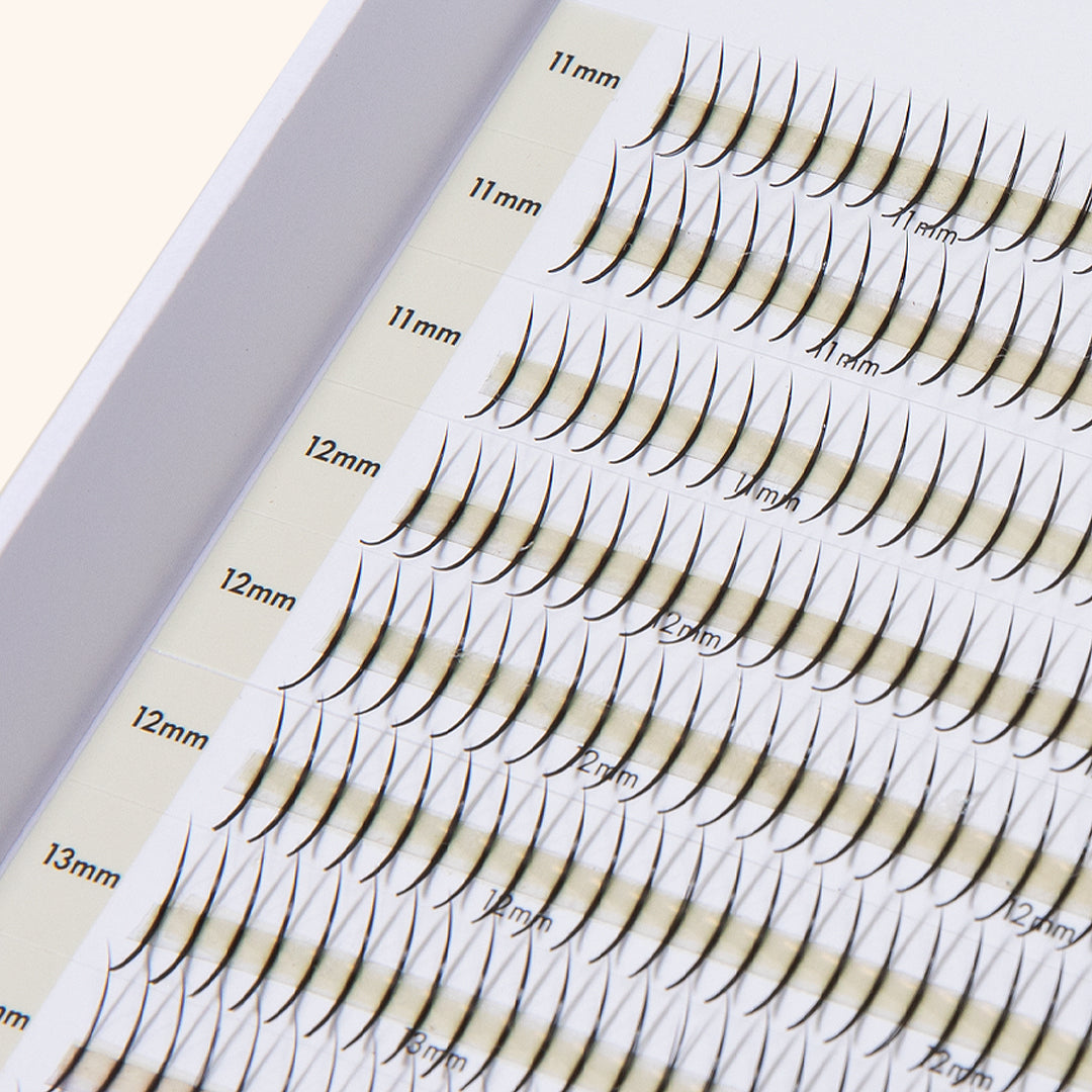 Tray of Premade Spikes Mayfair 5D 0.06 1000pcs - MIX TRAY, Professional Eyelashes, London Lash Australia